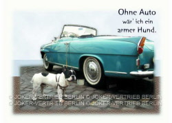a251ohneauto