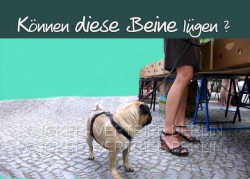 c23 beine
