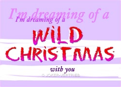 f 121wildchristmas2