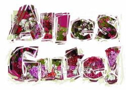 h27 allesgute
