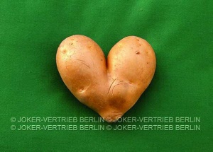 p 44 kartoffelgruen