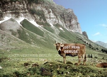 s 04 mehrgemuese