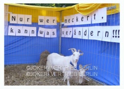 s09 meckern