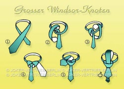 w 203windsorgross