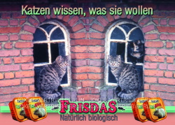 w519 frisdas