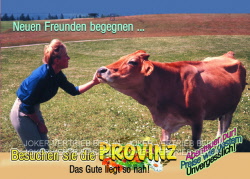 w522 provinz